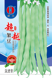 超越架豆