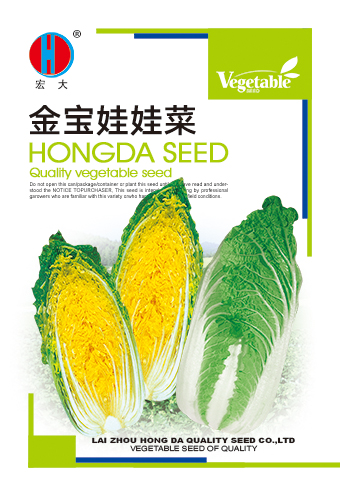 金宝娃娃菜