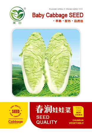 春润娃娃菜
